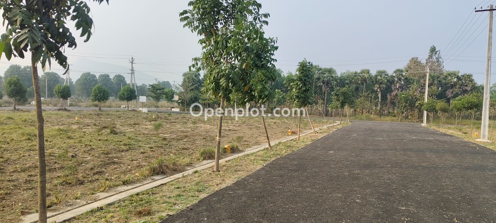 Plot for Sale in Gunupur,Vizianagaram